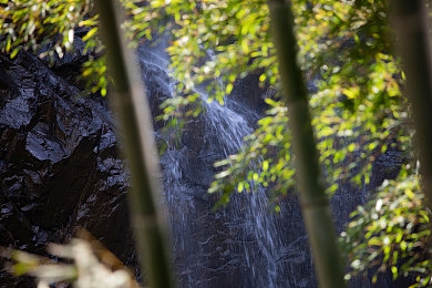 欧美free性:驰骋无界,墨西哥画卷中的个性化竞速史诗-3