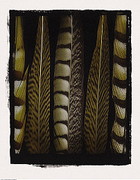 404:极速迷踪今日上线,揭秘赛车手离奇失踪背后的数据阴谋-4