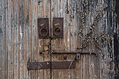 美女被插软件：霓虹骇客的极速代码，未来赛道的隐形入侵-4