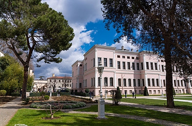 男男调教私奴bdsm：赛道王朝，精密协作与极速掌控的艺术-4