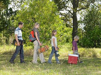 富二代色：《极限竞速：地平线5》涂装攻略，打造你的专属梦幻车库-3