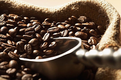 2023黄色软件下载3.0.3免费安装：2023年度竞速力作赛道风云全新版本深度评测，沉浸体验风驰电掣-5