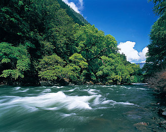 JUliaAnn黑人巨炮：暗夜战神终极攻略，揭秘隐藏赛车暗影巨炮获取与改装技巧-2