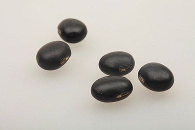 爱情岛亚洲论坛自拍品质：极限竞速地平线5摄影指南，打造惊艳游戏截图，引爆视觉讨论-4