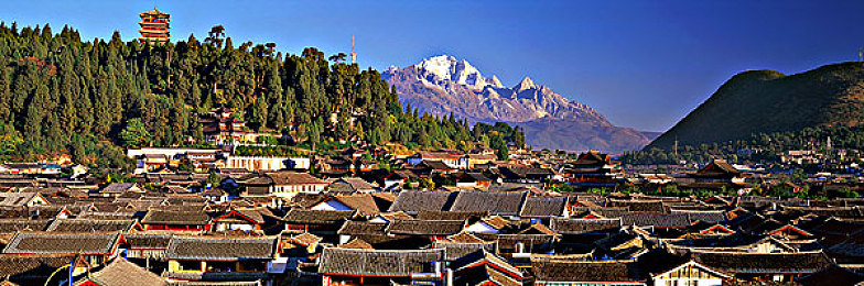 男女床上app：双人竞速新体验，虚拟车库中的默契合作之旅-3