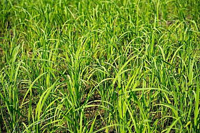 美女不穿衣服的样子软件：极速幻影登场，自由定制你的专属赛车与角色形象-3