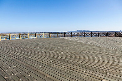 totakkahayakirix7777777怎么读：硬核赛车新作发布，极致物理引擎重塑真实驾驶体验-3