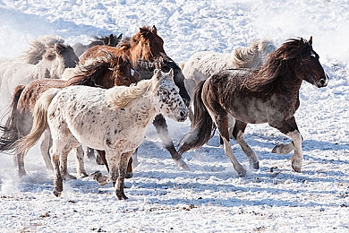 av国产电影：驾驶拍摄双修，亲历中国汽车工业史诗之旅-3