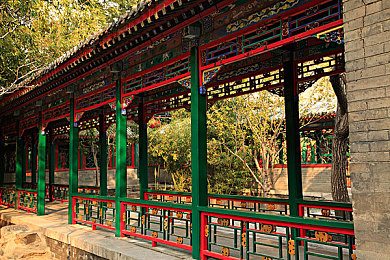 阿娇陈冠希囗交69：双人协同驾驶革新竞速，默契配合挑战极速新境界-3