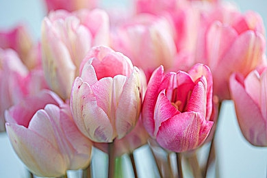 男戳女软件：汽车改造师，审美翻译官与多元需求对话录-5