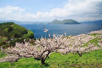 色多视频:视觉调校新游上线,百万播放三日速成攻略揭秘-3