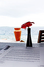 天天干天天添:极限竞速地平线5,每日驰骋集豪车,打造你的终极收藏馆-4