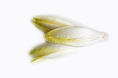 无翼乌邪：废土赛车新纪元，暗黑幻想与钢铁角逐的融合之旅-4