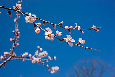 黄上黄软件：当赛车手化身程序员，在极速狂飙中紧急修复代码-2