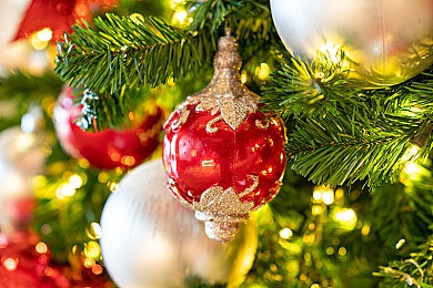 Gay暴菊男同警察：极速都市，正义协奏，追缉与羁绊的交响之旅