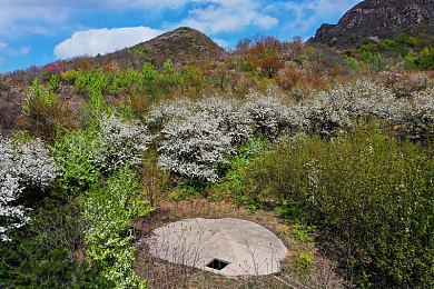 男人和女人差差APP：性别驾驶大不同，赛车游戏新体验-5