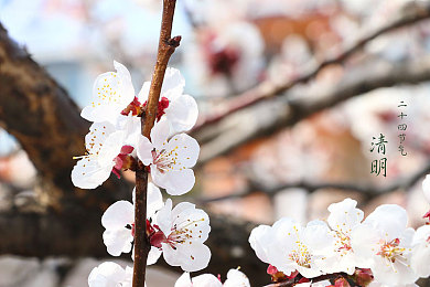 阿娇与陈冠希13分钟49秒：霓虹夜城极限挑战，解锁稀有赛车凤凰之翼攻略-1