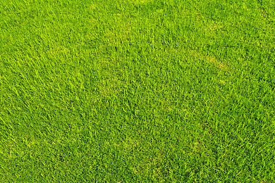 亚洲一区、二区：东京湾极速与香港山道，双城赛道攻略全解析-4