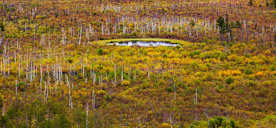 404禁止：赛车新作颠覆传统，动态禁区挑战极速破解之道-5