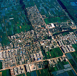 打扑克又痛又叫的视频软件：卡牌策略与硬核驾驶融合，全新竞速游戏引爆玩家痛爽体验-2