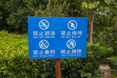 美女上网站:虚拟偶像飞驰于数字地平线的星光赛道-3