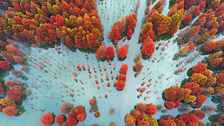 成人黄色软件在线下载：霓虹狂飙席卷赛博都市，深度定制与成人剧情引爆赛车游戏新纪元-5