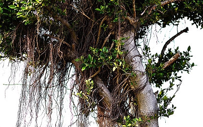 91制片:极速光影,镜头飞驰,导演你的赛道传奇-2