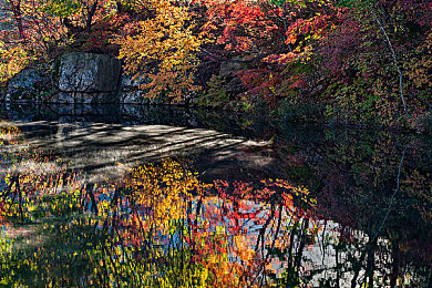 <玛露和园丁>意大利:驰骋托斯卡纳,征服海岸弯道,地平线扩展包驾驶盛宴-5
