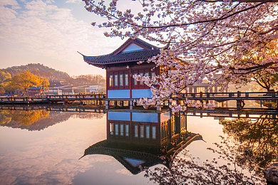 婷婷五月天六月丁香：驾驭季节变幻，在极限竞速地平线5中驰骋墨西哥动态世界-2