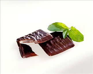 妖精画首页登录界面：魔法机械交响诗，奇幻竞速绘卷之旅-4