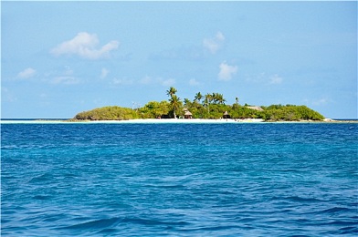 男男一起生产酸奶：双人驾驶与生产管理新游深度评测，协作模拟游戏体验全面解析-2