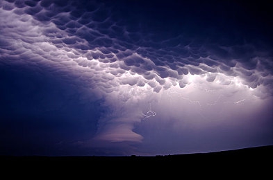 女人与公猪交配：荒野驯兽师深度评测，灵魂羁绊开启全新冒险旅程-2