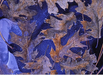 中国毛茸茸亚洲人：神话赛车疾驰东方幻境，全新竞速游戏今日震撼上线-4