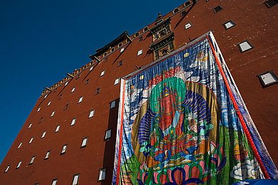 斗罗大陆禁游免费下载安装最新版：武魂觉醒免费体验，开启你的魂师传奇之旅-4