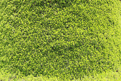 免下载av：墨西哥画卷，引擎为笔，驰骋于视觉与听觉的交响诗篇-5