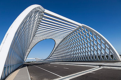 天禄陈皮是几线产区：香料博弈，南岭雾隐间的战略抉择与资源迷踪-2