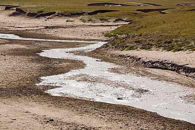 男人和女人一起搓搓搓：双人同心，其车断金，耦合竞速新纪元