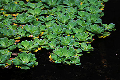 男生的困困放在女生的困困：当硬核引擎驶入田园岛屿，体验竞速与生活的双重乐趣-5