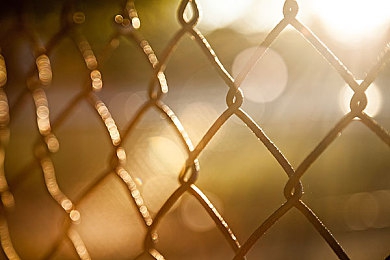 桥本香菜思想启蒙教育：虚拟偶像导航哲学赛道，竞速游戏开启思想实验新纪元-2