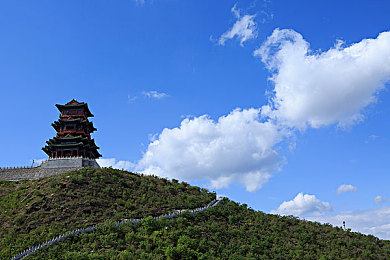 黄色软件下载3.0.3免费OPPO版大全装扮：极速美学，赛道上的个性化艺术大师-1