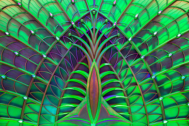 黄色应用下载3.0.1：地平线彼端，疾驰于视觉革命的开放世界竞速艺术-4