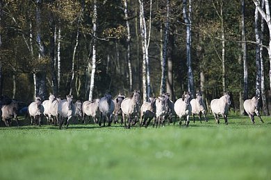 操bapp：极速改装，真实驾驭，赛道风云录-5