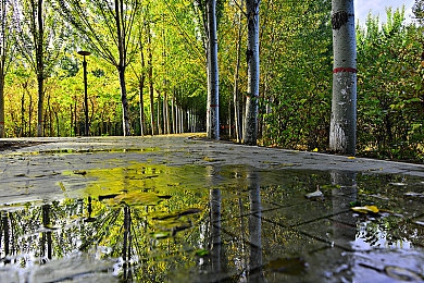 尺八快乐巡り樱花动漫的更新时间：和风巡礼音樱篇，动态季节开启传统音律之旅-2