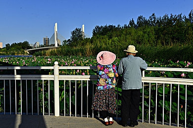 火影18加：疾风传说，赛道忍术，极速查克拉狂飙-5