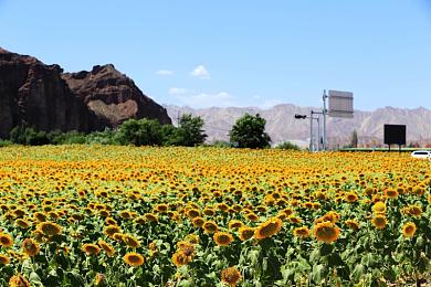 同性男男GayXXXX：彩虹旅途，改装车与心的双重旅程-2