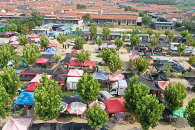 男女打扑克激烈运动：极速牌手全新赛季开启，策略卡组与竞速狂飙的终极对决-4