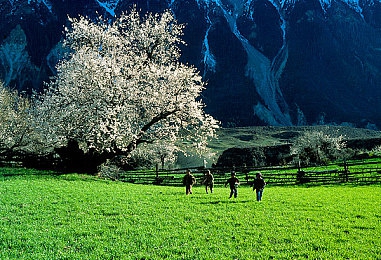 把男生的困困放到女生的困困里背后：双人协同驾驶新纪元，极速双生以性别协作革新赛车游戏体验-5