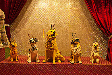 黄上黄下载3.0：极速进化，驾驭数据风暴的次世代赛车革命-3