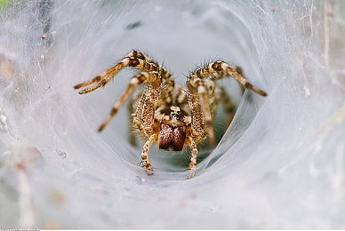 国精产品一区二区-：国产汽车闪耀地平线，虚拟赛道体验中国制造崛起-3