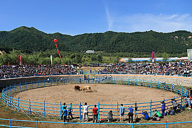 男生用困困入女生:驾驶模拟邂逅心动,Steam新作以疲劳值系统革新恋爱游戏体验-2